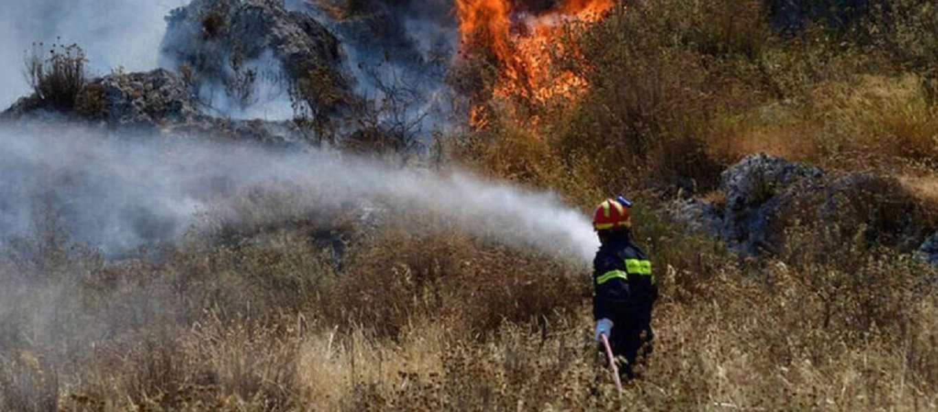 Αχαΐα: Μεγάλη φωτιά στην Άνω Καλλιθέα